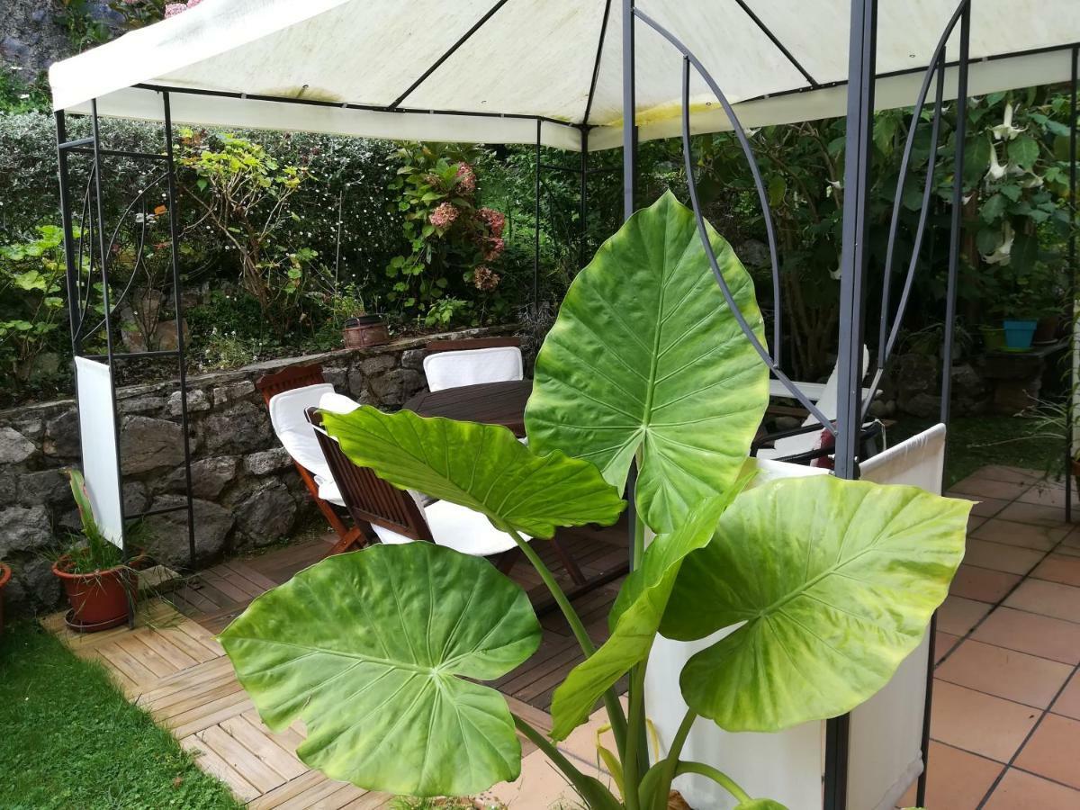 Casa Nueva Carmen ξενώνας Pendueles Εξωτερικό φωτογραφία